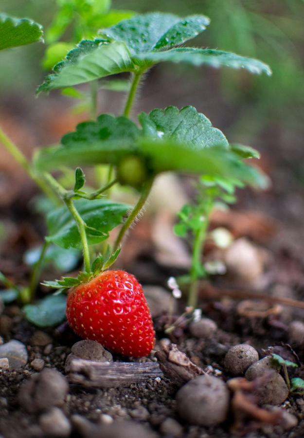 Fragole E Menta Hotel Attimis Ngoại thất bức ảnh